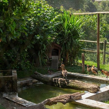 ホテル Casa Do Sobrado ヴィラ・レアル エクステリア 写真